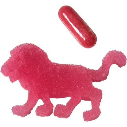 Magične Kapsule Za Decu - Capsule Zoo Animals