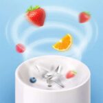 Prenosivi Blender Prenosivi Blender