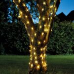LED Solarne Lampice 10m sa 100 Dioda – Dekoracija za Baštu i Terasu